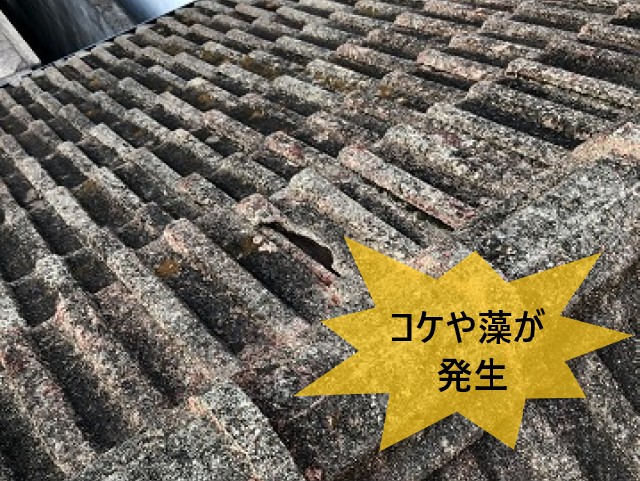 セメント瓦　コケや藻が発生